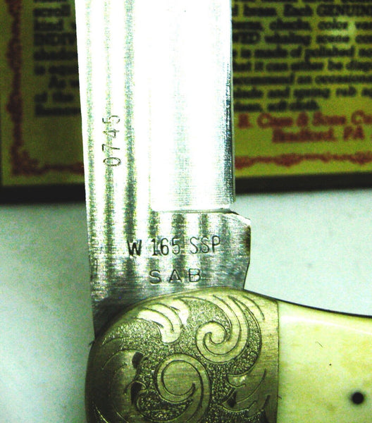 Case XX USA 1 Dot 1979 NOS W165 SS SAB Scrimshawd Bone Moby Dick Nantucket Ride