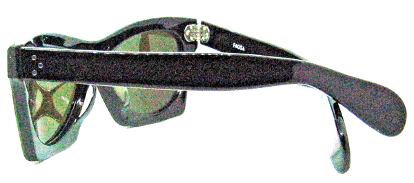 FAOSA USA Tampico Iconic Buddy Holy Roy Orbison New Sunglasses & Ray-Ban case